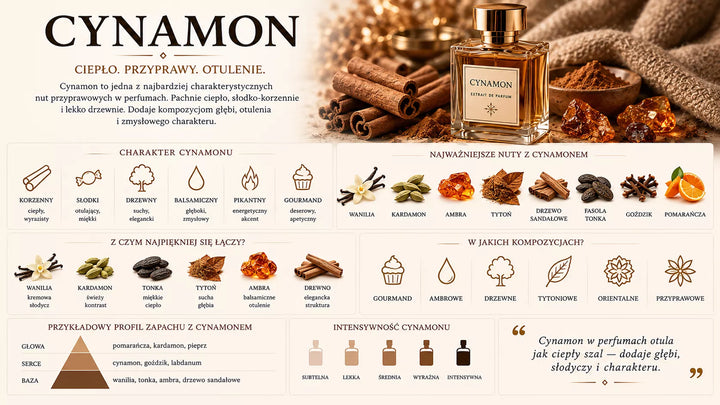 Cynamon – laski kory cynamonowca, ciepła i korzenna nuta perfumeryjna