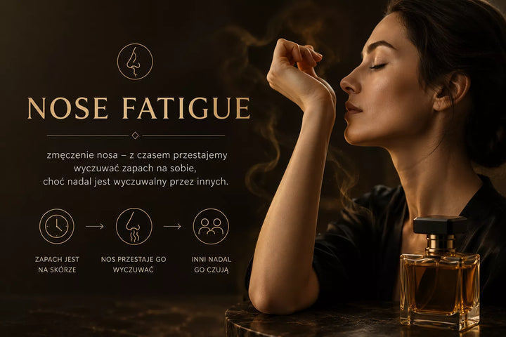 Nose Fatigue – zmęczenie węchowe podczas testowania perfum
