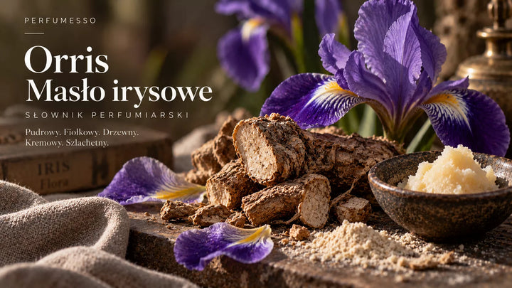 Orris – wysuśzone kłącze irysa, z którego powstaje cenny i pudrowy materiał perfumeryjny zwany masłem irysowym